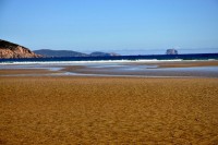 Tidal River