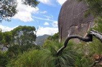 Wilson Prom.Nat.park