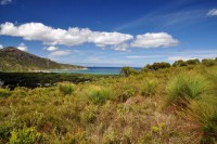 Wilson Prom.Nat.park