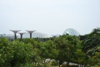 Super Trees mit den beiden Gewächshäusern Flowerdome (links) und Cloud Forest (rechts)