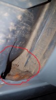 20181114_175748.jpg